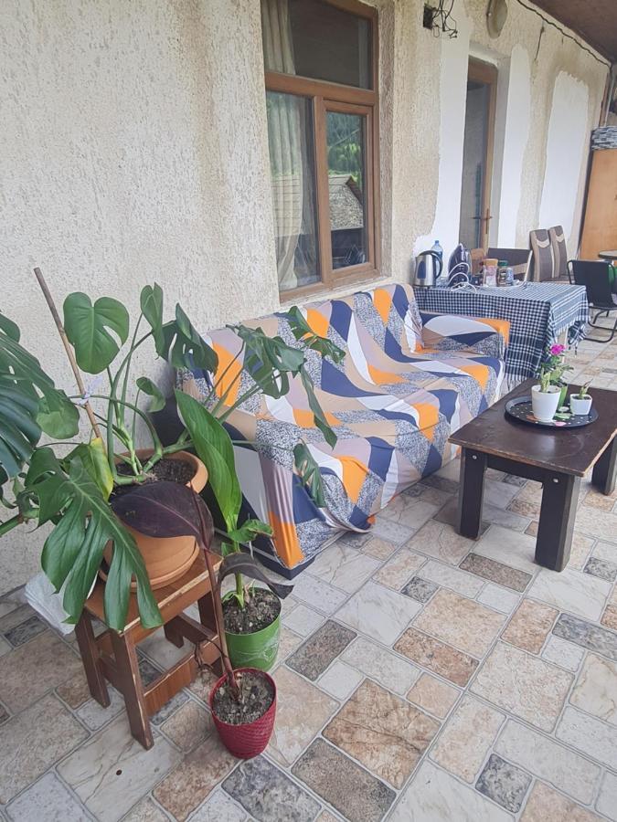 Guest House Goshtela 메스티아 외부 사진